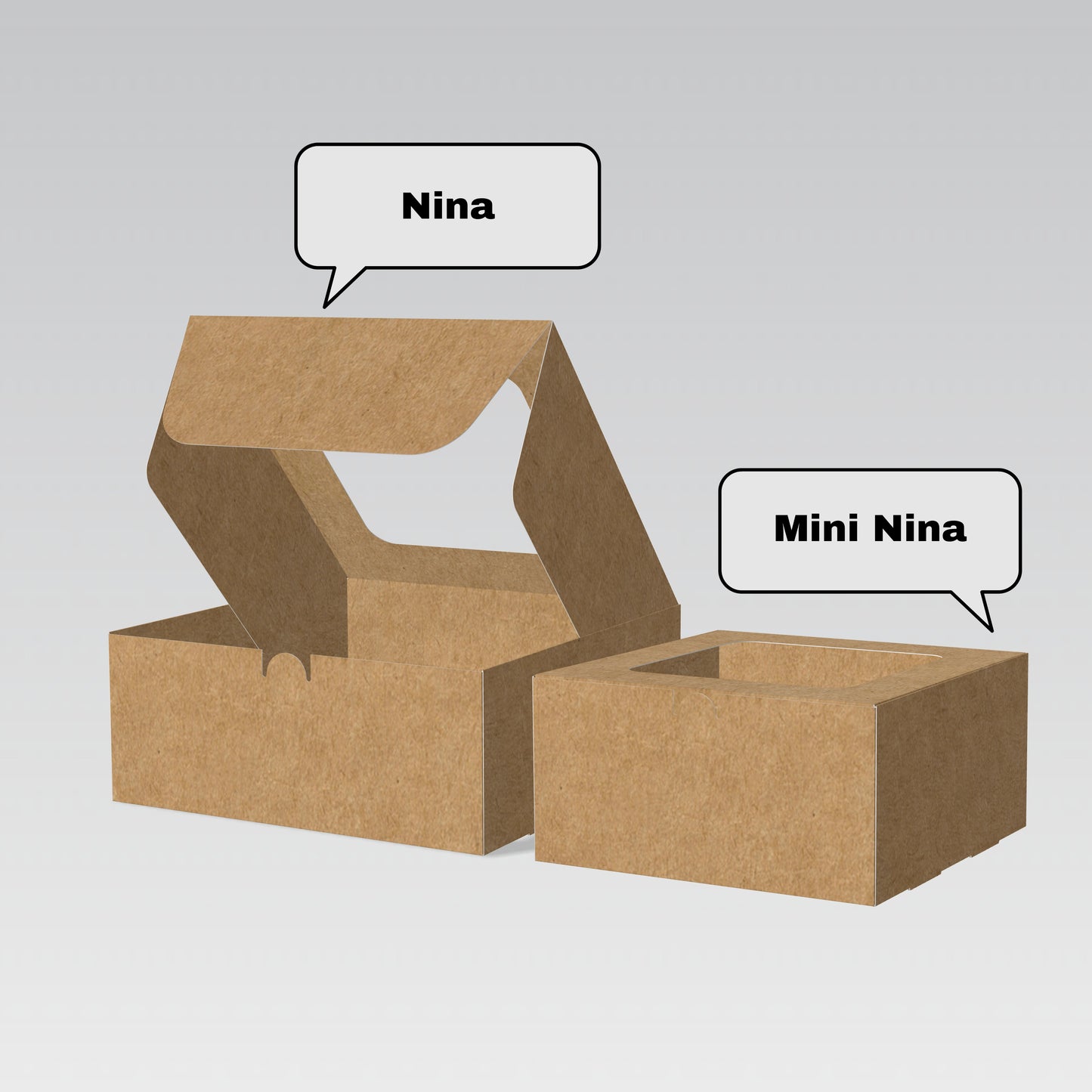 Caja Mini Nina 20x20x10